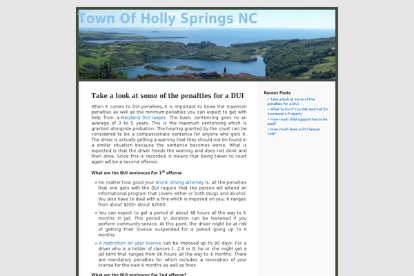 Baltimore Phototheme theme site design template sample