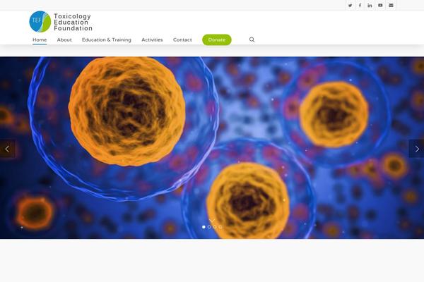 Salient theme site design template sample