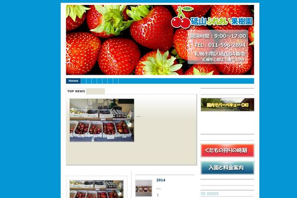 Branfordmagazine-4 theme site design template sample