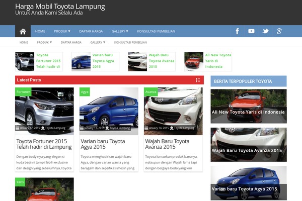 ProMax theme site design template sample