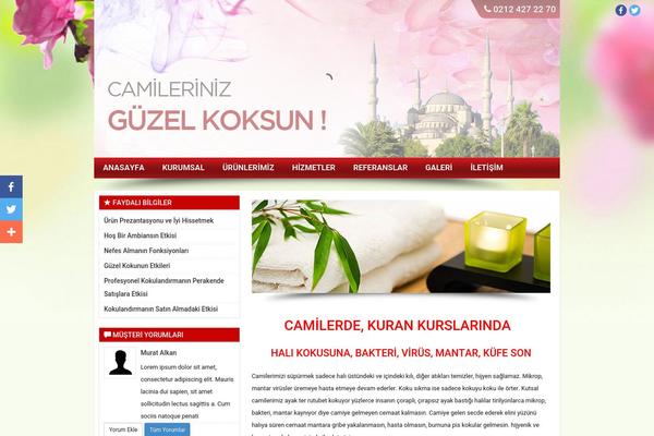 tozanlicamiikokulari.com site used Tozanli