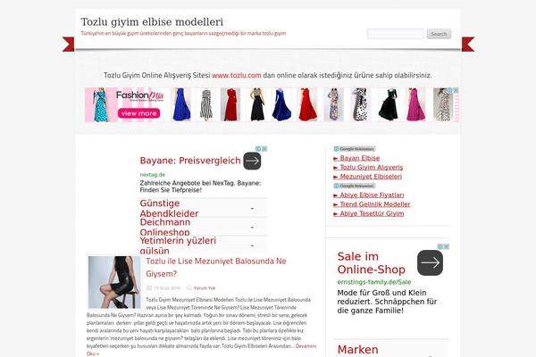 tozlu theme websites examples