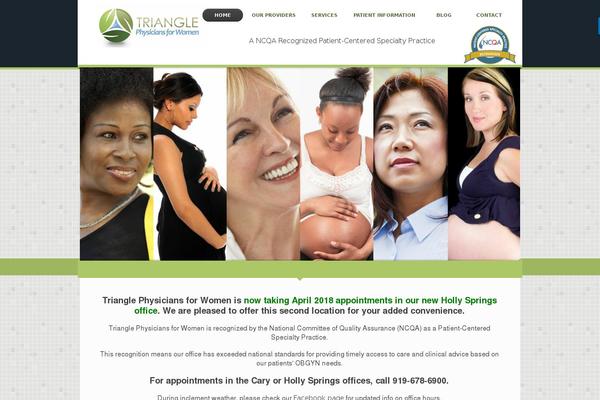 Cleverminds theme site design template sample