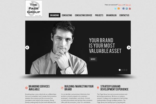 tpgbrandstrategy.com site used Theme1379