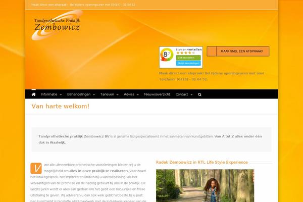 Avada Child theme site design template sample