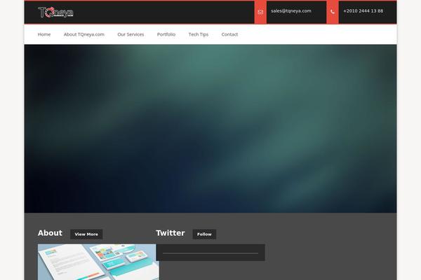 Site using WP Twitter widget by rYokiNG plugin