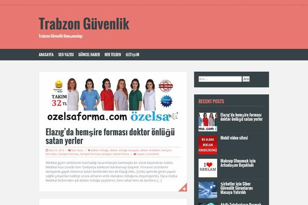 Solon theme site design template sample