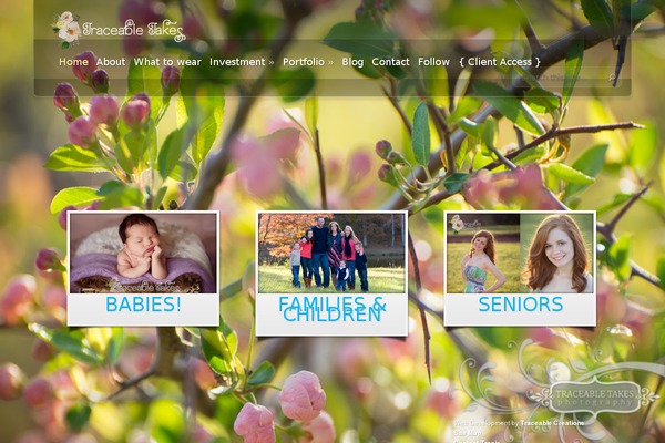 Site using ZenfolioPress plugin