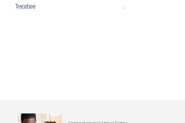 Ranbron website example screenshot