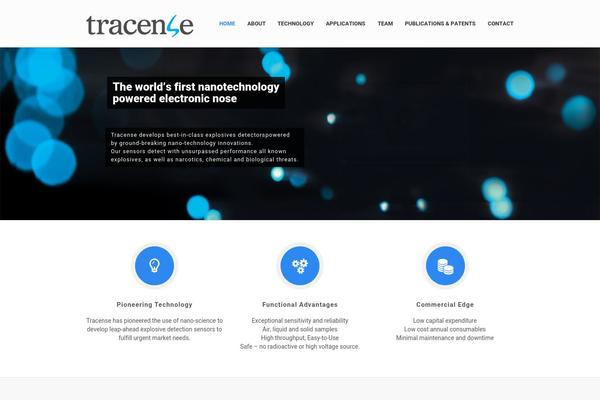 Sarraty theme site design template sample