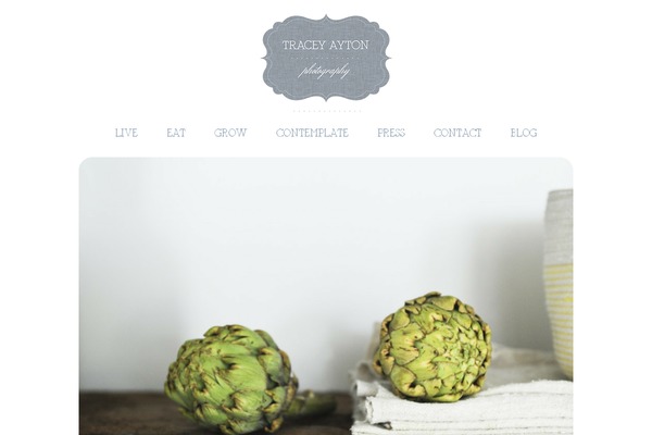 Site using Electriccarousel plugin