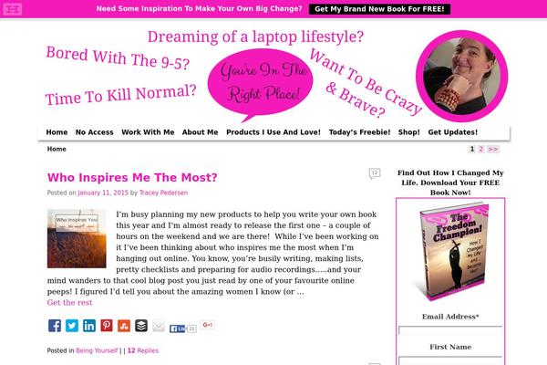 Ashe-pro-premium theme site design template sample