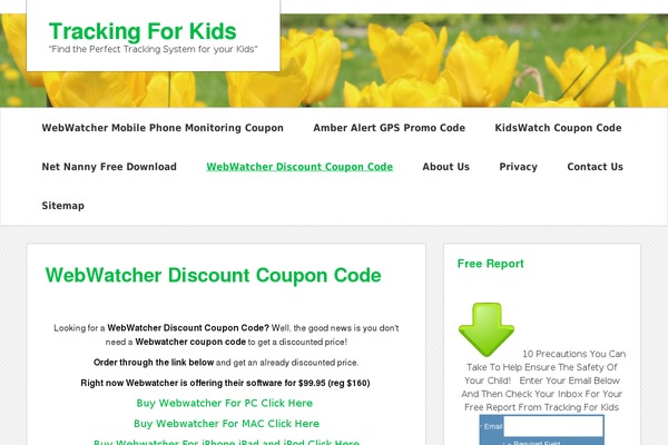 zeeMinty theme site design template sample