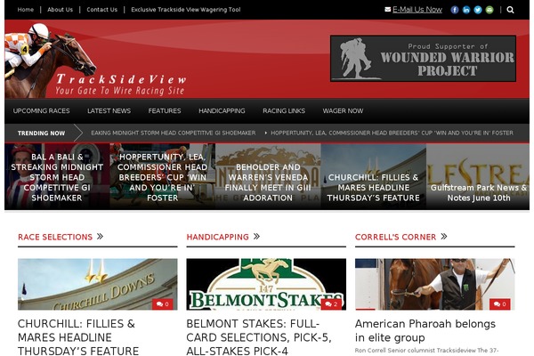 Worldwide V1 01 theme site design template sample