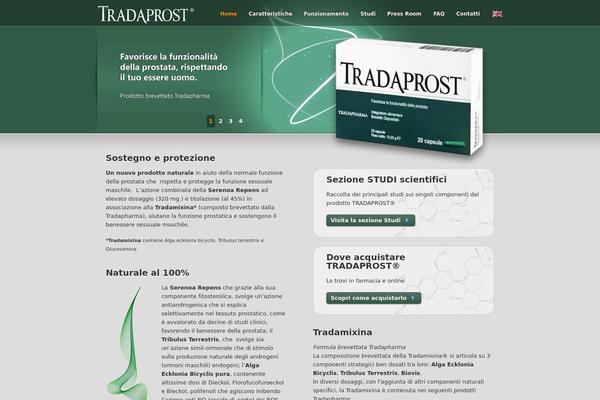Blank2r theme site design template sample