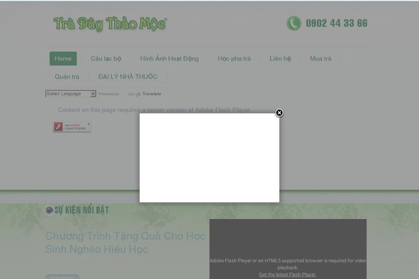 Cushy theme site design template sample