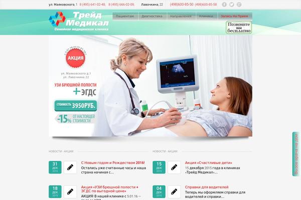 ibusiness13 theme websites examples