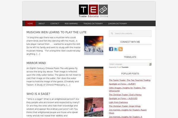Metro Pro theme site design template sample