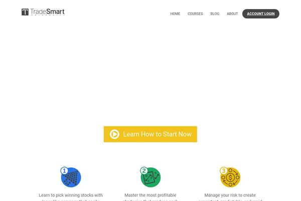 Rise theme site design template sample