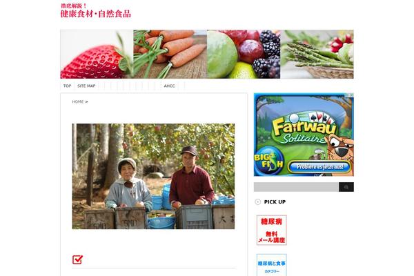 Stinger3ver20131217 theme site design template sample