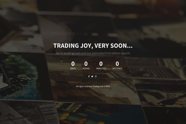 Optimizer theme site design template sample