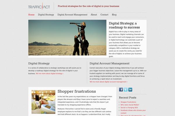 Site using Easy Custom Auto Excerpt plugin