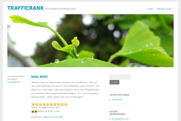 Yoko theme site design template sample