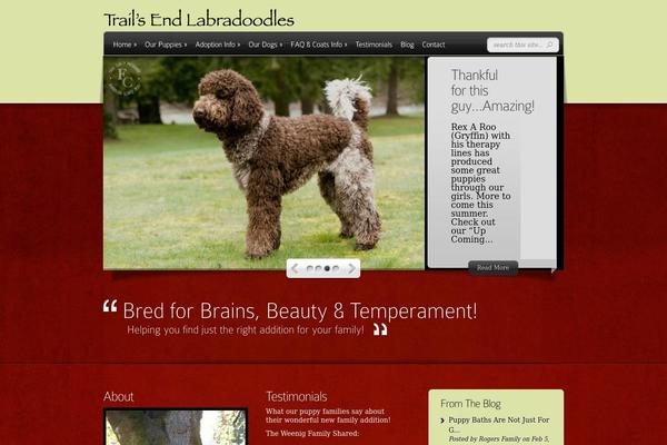 Deepfocus theme site design template sample