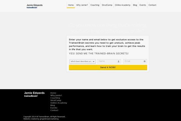 Site using Optin-monster plugin