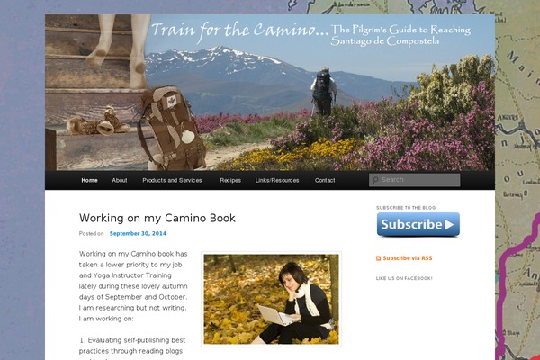 Site using RSS Icon Widget plugin