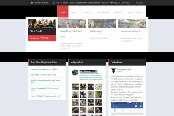 Fit Wp theme site design template sample