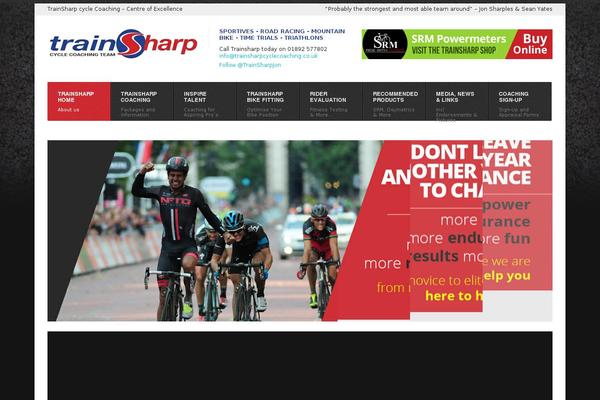 Point theme site design template sample