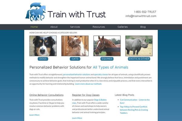 Site using Autoptimize plugin