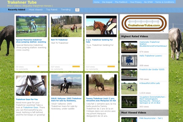 Site using Covertcopytraffic-pro plugin