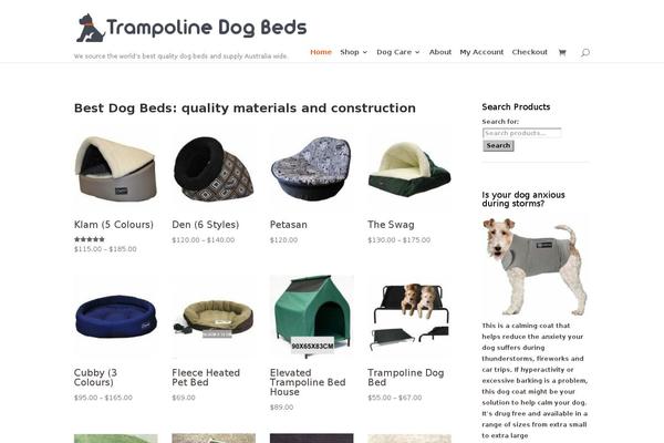 Divi Child theme site design template sample