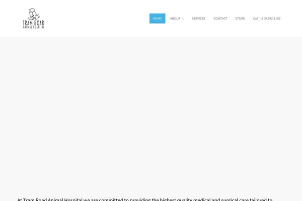 Site using Wp-statistics plugin