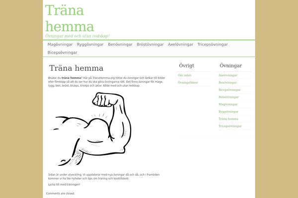 Clear Line theme site design template sample