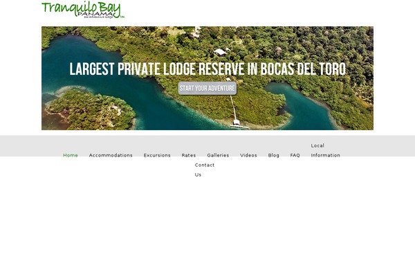 Twenty Eleven theme site design template sample