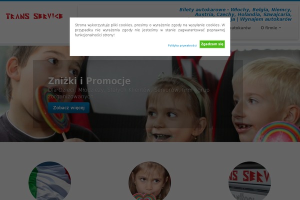 Customizr theme site design template sample