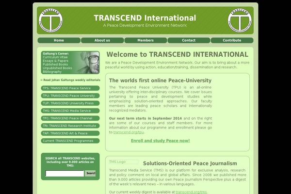 tms theme websites examples