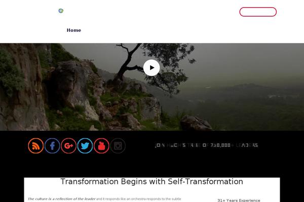 transformationalstrategist.com site used Blueggrace