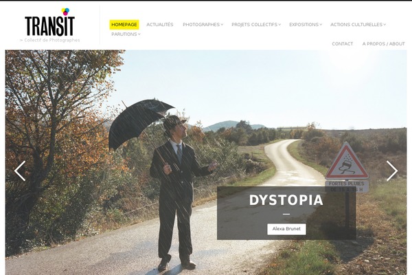 Fluxus theme site design template sample