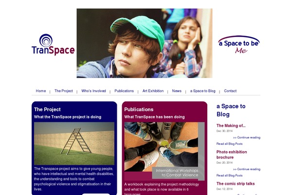 Site using Captain Slider plugin