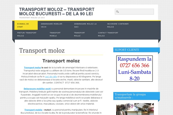Living Journal theme site design template sample