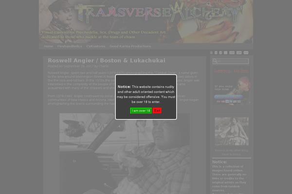 Site using Better archives widget plugin