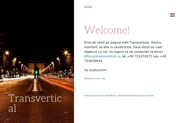 Bushwick theme site design template sample