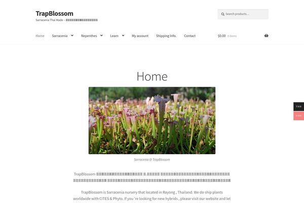 Site using Woo-multi-currency plugin