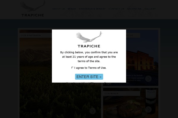 Disillusion theme site design template sample