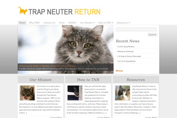 NonProfit theme site design template sample