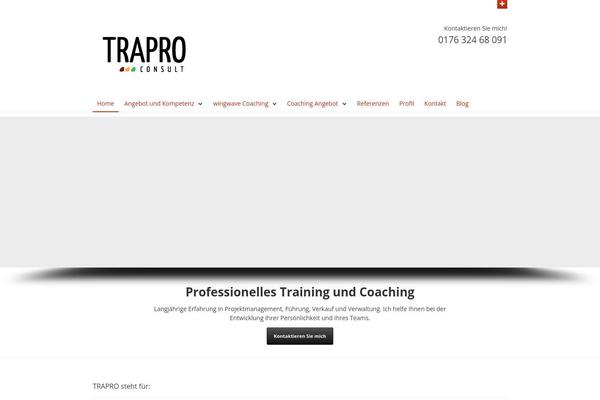 consultant theme site design template sample